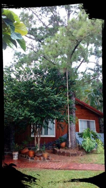 Tucan Hostel Puerto Iguazu Bagian luar foto